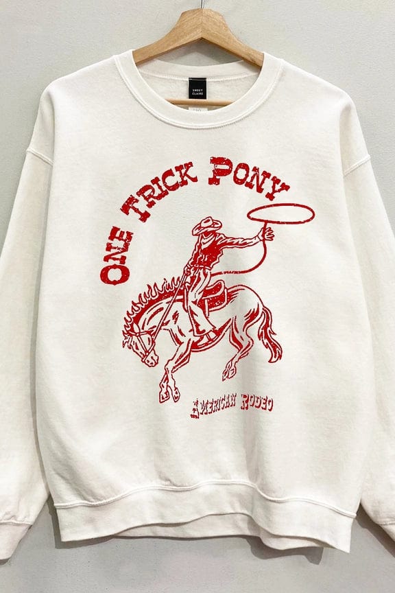 Price Drop One Trick Pony Sweatshirt